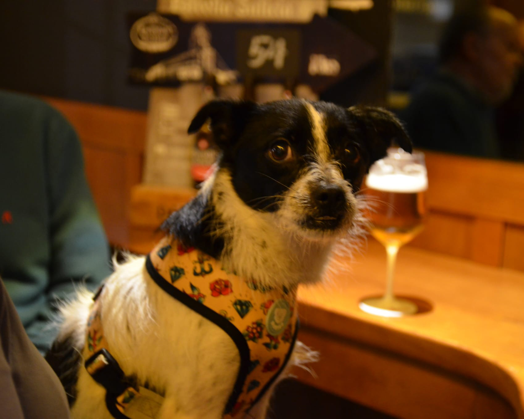 Derbi-cafe-Ferrol1000131034