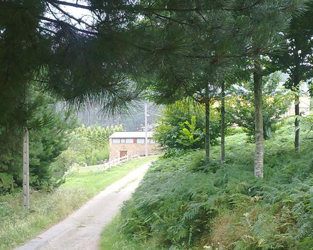 Ferrolterra-pet-friendly-cabana-do-cao