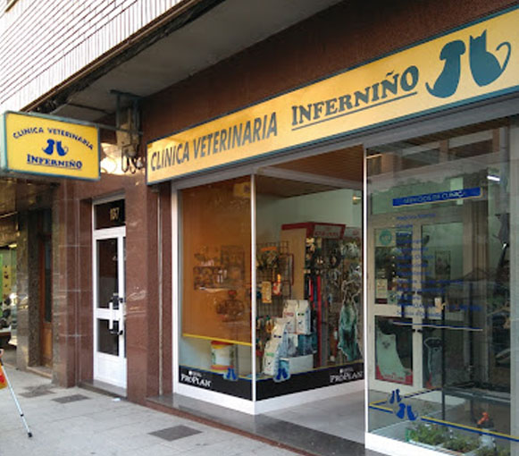 Ferrolterra-pet-friendly-clinica-inferniño-ferrol