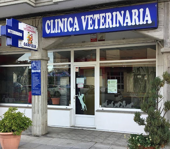 Ferrolterra-pet-friendly-clinica-veterinaria-garfield-as-pontes