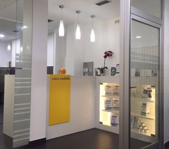 Ferrolterra-pet-friendly-clinica-veterinaria-somaza-perez-ferrol