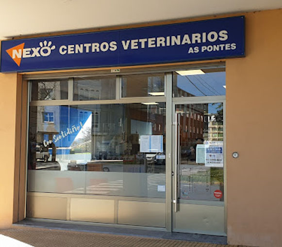 Ferrolterra-pet-friendly-nexo-veterinarios-as-pontes