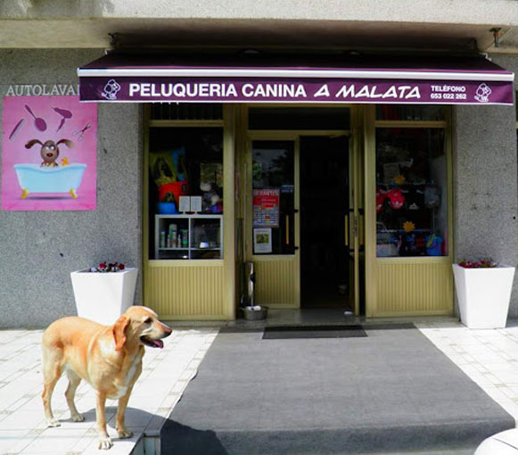 Ferrolterra-pet-friendly-peluqueria-canina-a-malata-ferrol