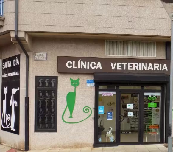 Ferrolterra-pet-friendly-santa-icia-veterinario-naron