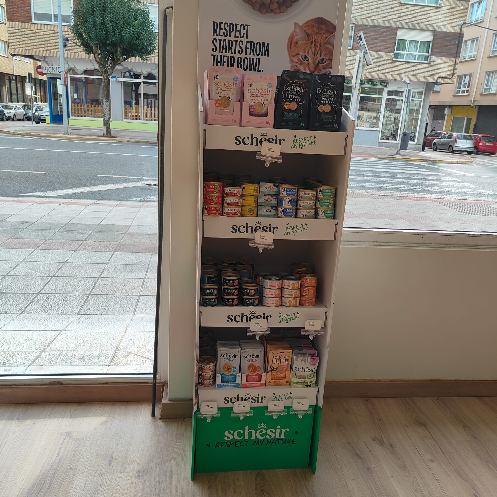 Perrrencibles-ferrolterra-pet-friendy-Gatos