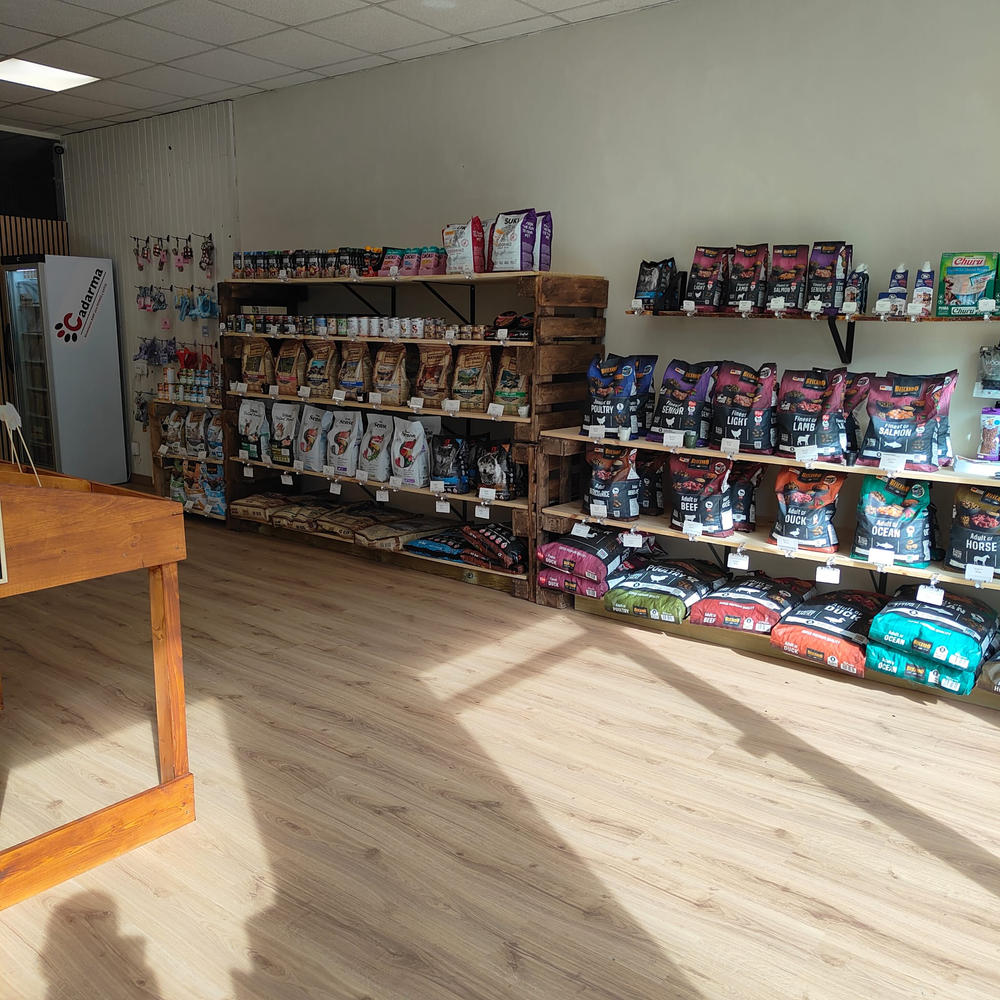 Perrrencibles-ferrolterra-pet-friendy-interior-perrros