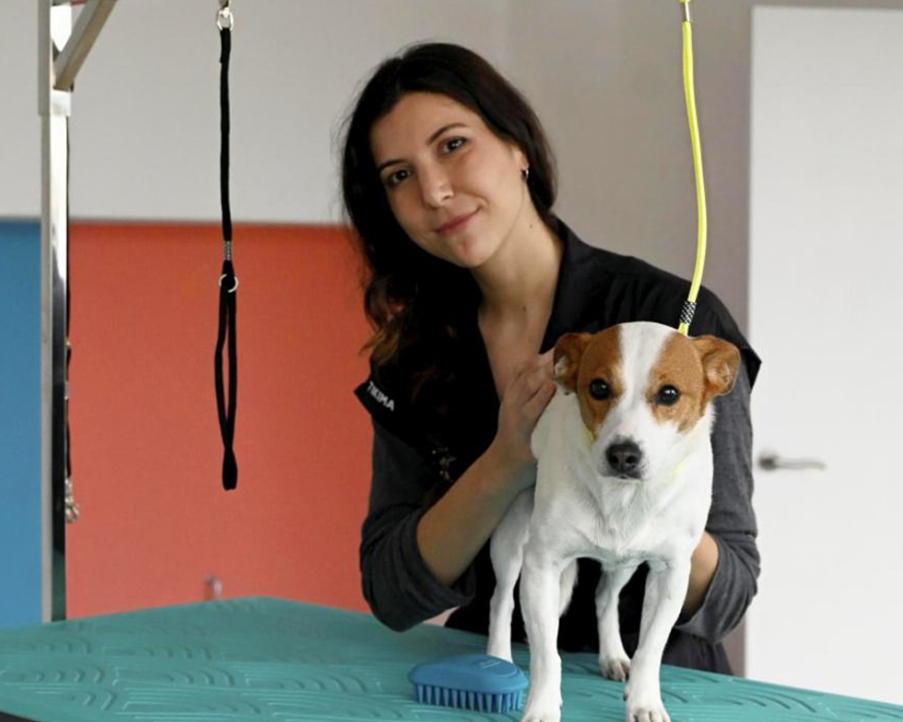 Diseño sin título - 1