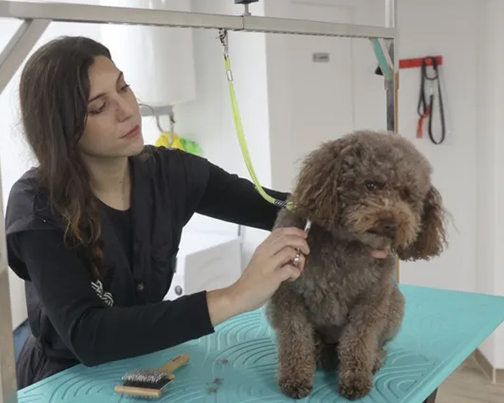 Diseño sin título - 1